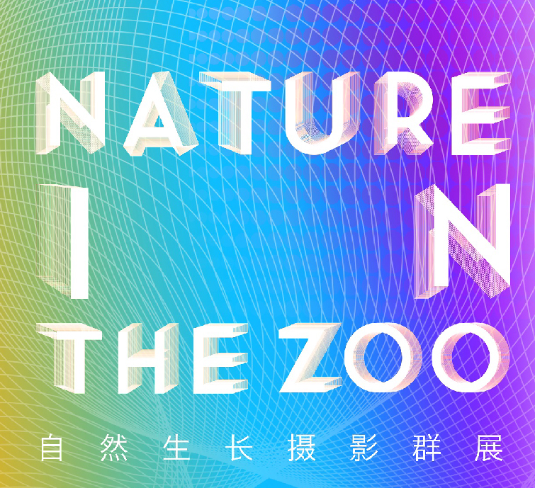 CITYZOO展讯 | NATURE IN THE ZOO