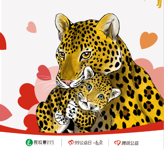 99公益日，ZOO COFFEE四城联动，携手猫盟助力关爱母豹，守护豹的家